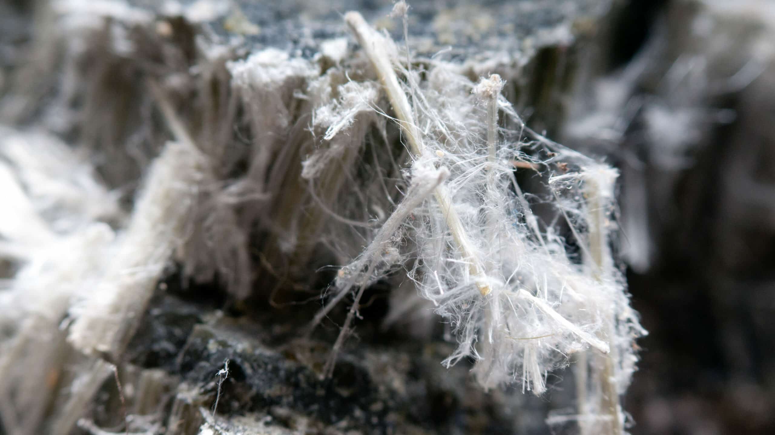 asbestos photograph