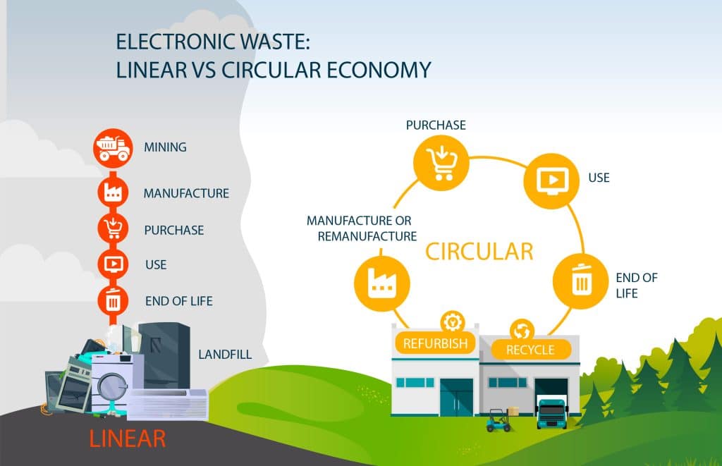 linear vs circular economies